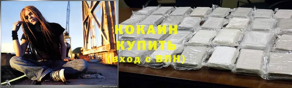 дживик Белокуриха