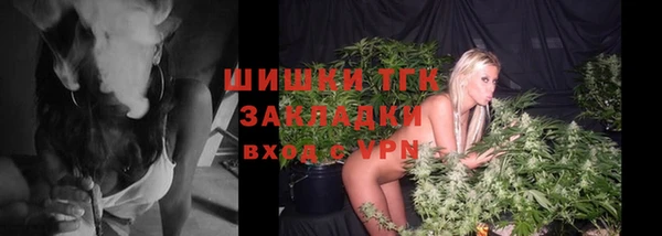 дживик Белокуриха
