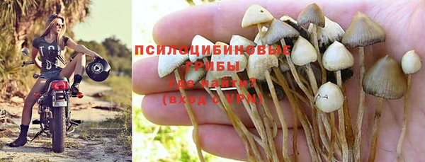 дживик Белокуриха