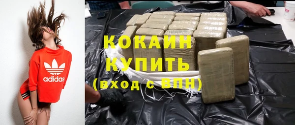 дживик Белокуриха