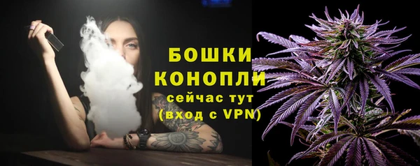 дживик Белокуриха