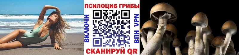 гидра ONION  Павловск  Псилоцибиновые грибы MAGIC MUSHROOMS  где найти  